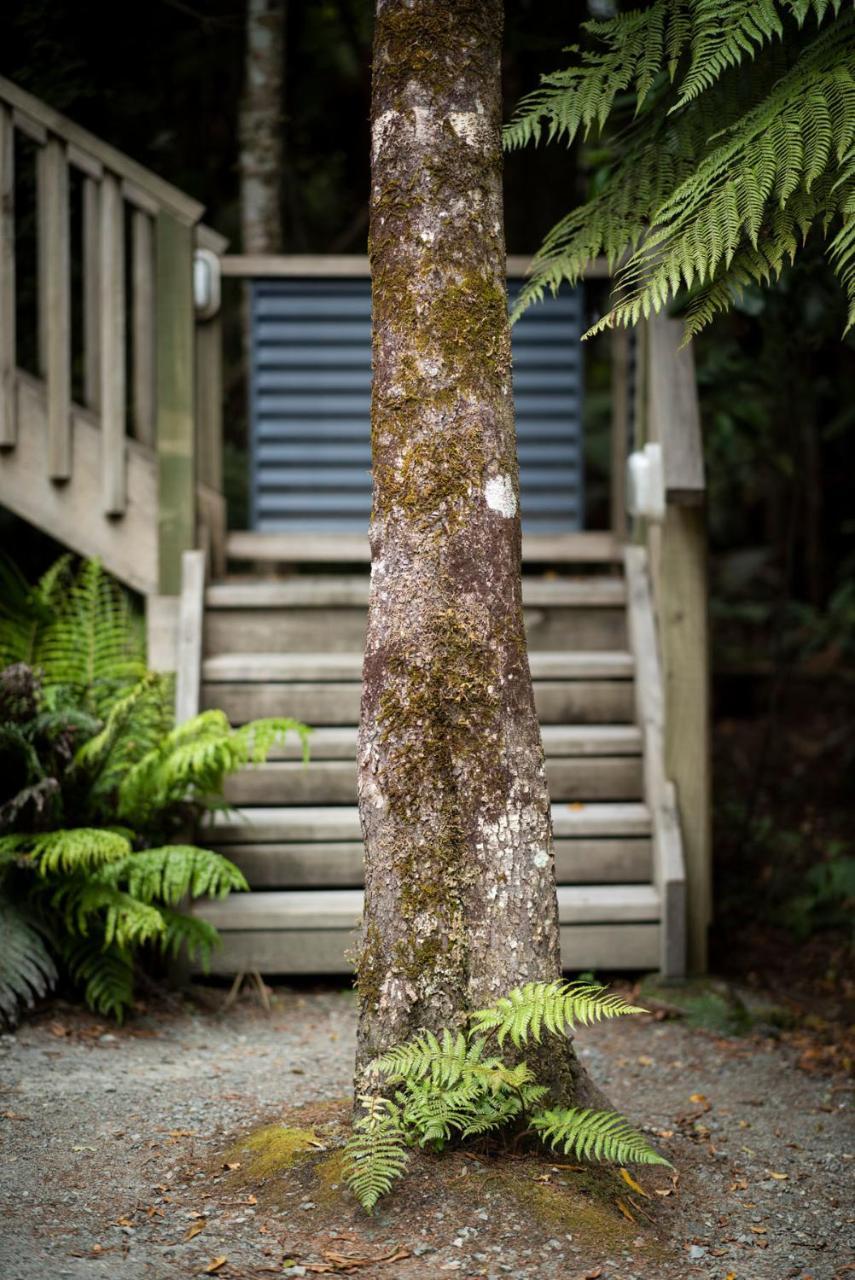 Punakaiki Treehouse Limited Exterior photo